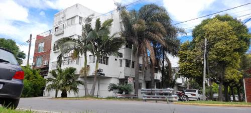 Palmeras II