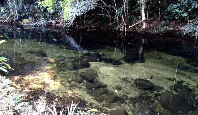 Paradise in the Sierra spectacular site in the midst of nature, crystal clear river