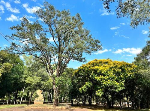 Parque Hotel Manantial