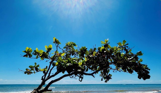 Pedra Mar Inn