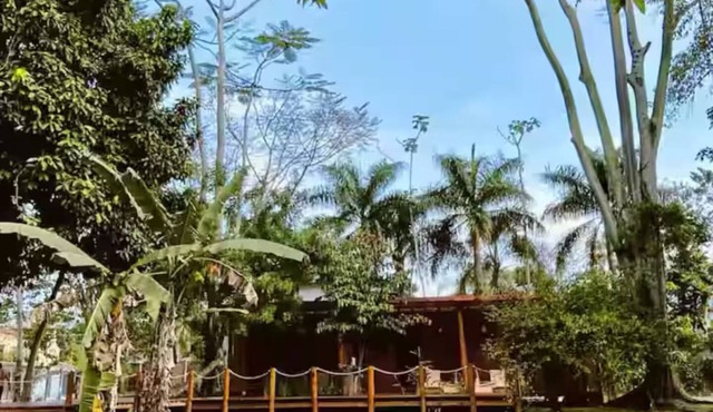 Pitanga Suite