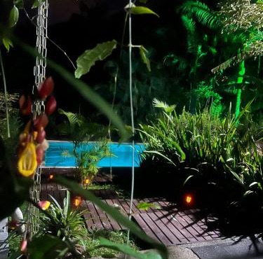 Pool amid the green