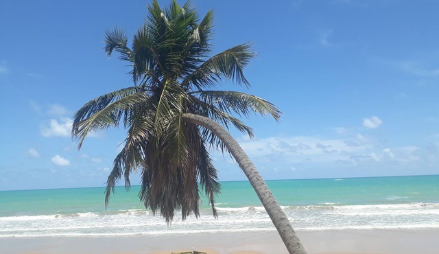 Pousada Boneca de Pano