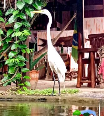 Pousada Chalé na Roça Penedo