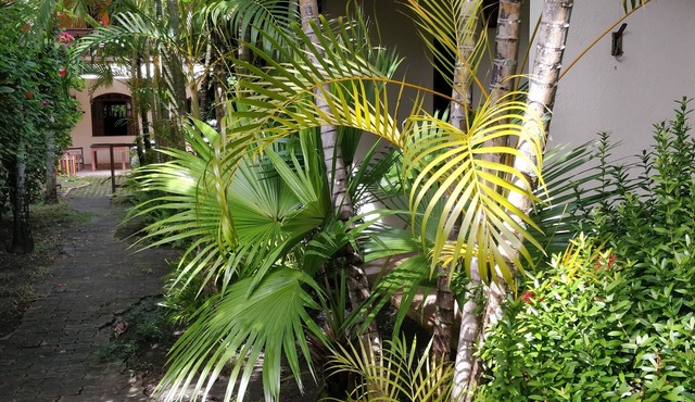 Pousada Tropicália