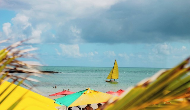 Praia do Frances - House with Sea View - Feet in the Sand