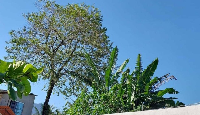 Quarto Para Grupo até 4 Pessoas Praia da Maranduba Ubatuba Sp