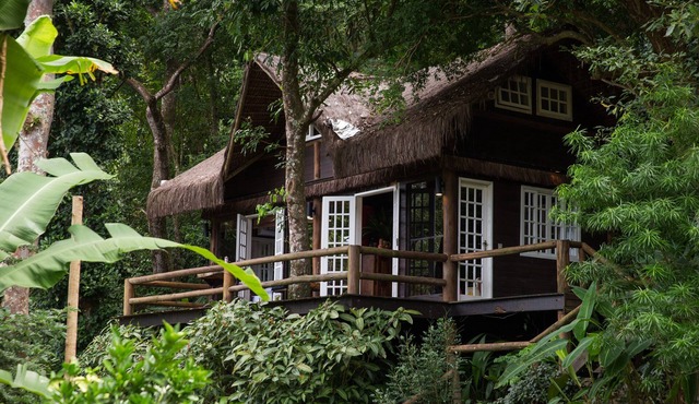 Rain Forest Paradise