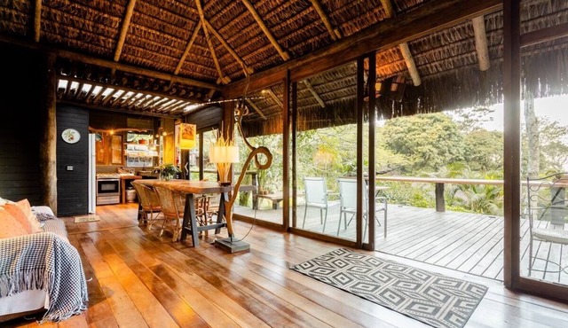 Rainforest Paradise