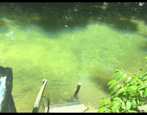 Rancho ABA DO BETIONE