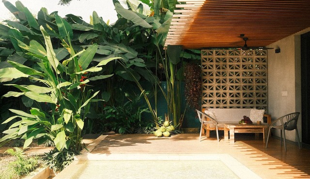 Raw. Tropical. Unique. Villa Madom by NP Marino Ballena
