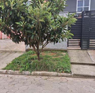 Recanto das gérberas