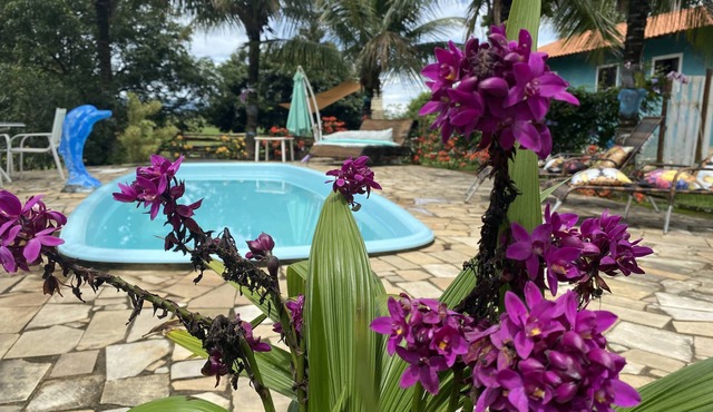Recanto das Orquídeas Hospedagem.