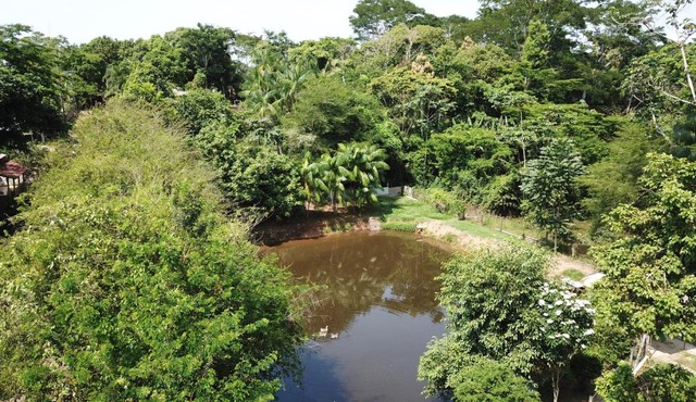 Recanto na Floresta