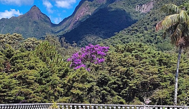 Relax Total Teresopolis
