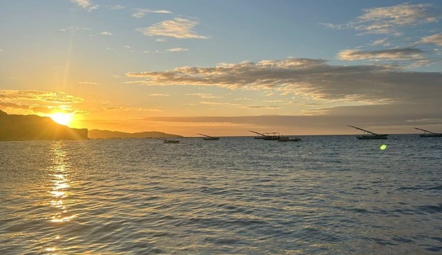 Relax with incredible views, 80 meters from the sea, pet-friendly.