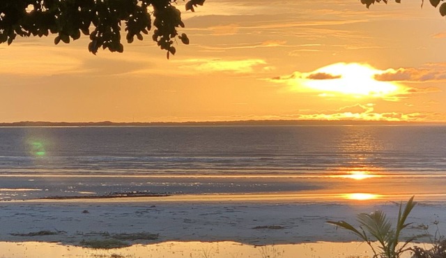 Retreat in Amazonia