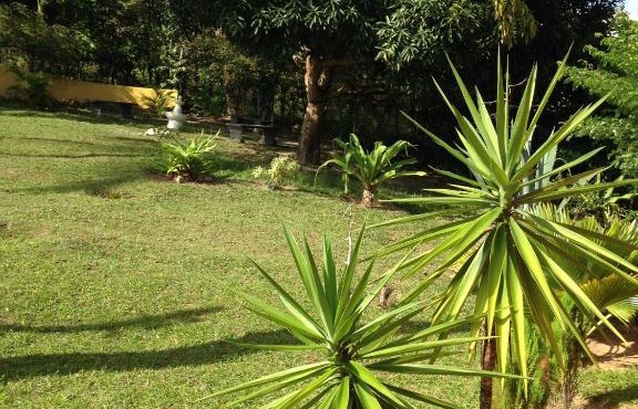 Sítio FWG