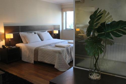 SAMARÁN SUITES
