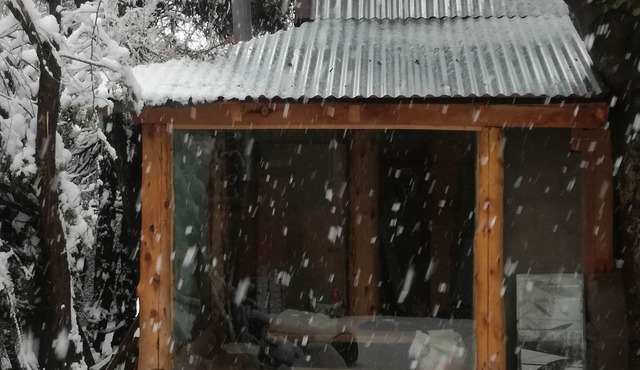 Sarah's cabin