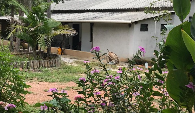 Sitio Frutas do Cerrado