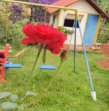 Sitio lindo - ideal para festas e passar o dia 40pessoas
