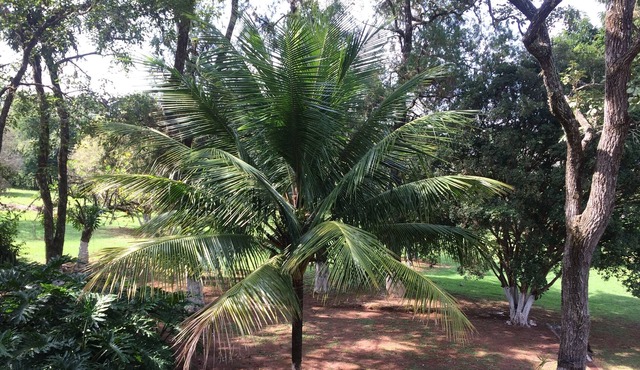 Sitio Três Saltos SP