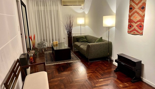 Spacious and cozy apartment in Buenos Aires