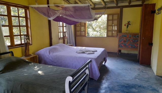 Spacious apartment nestled in the Atlantic Forest of Paraty, with a natural pool.