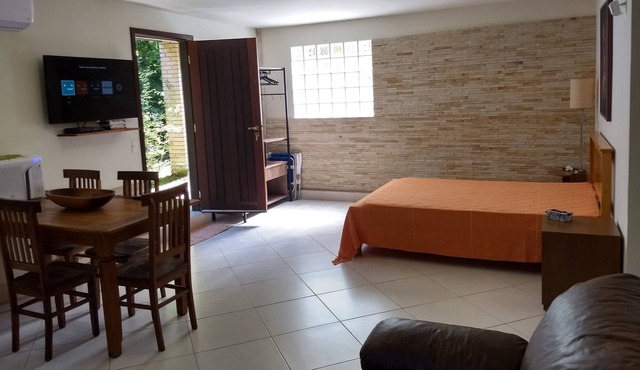 Studio a few steps from the wonderful Praia do Julião