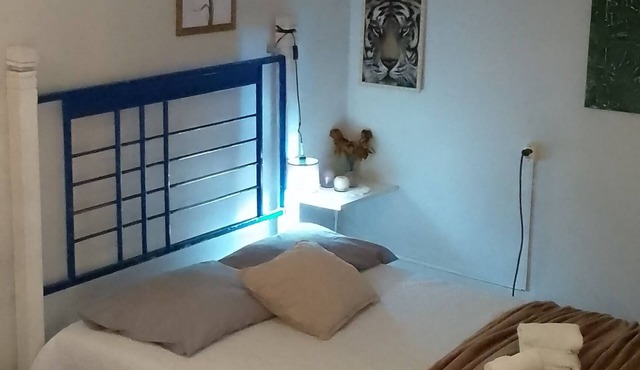Studio Apartment in Canela. Small pets allowed. 5 minutes from the center.