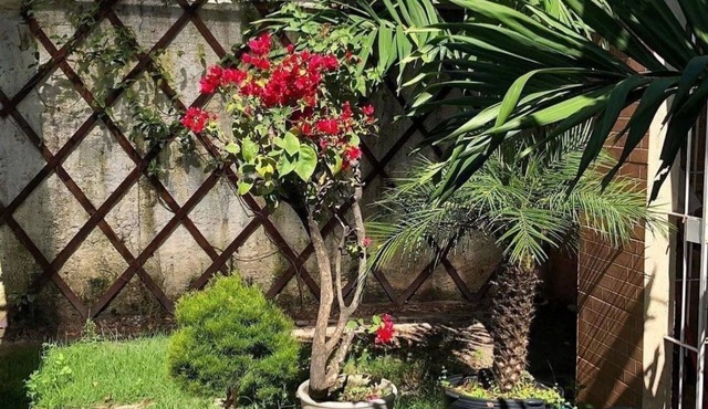 Studio Guadalupe - A Joia de Olinda