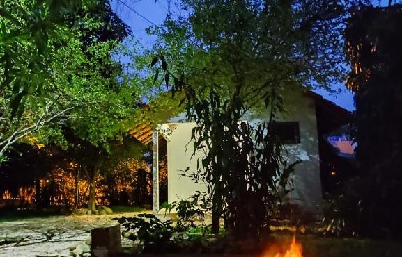 Suíte da Floresta