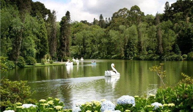 Suíte Lago Negro
