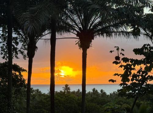Sunrise Paradise