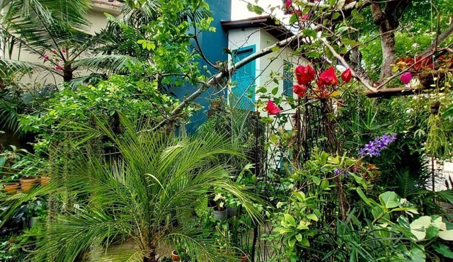 Superior Apartment in Ponta Negra perfect for couples! 10 minutes walk to the beach