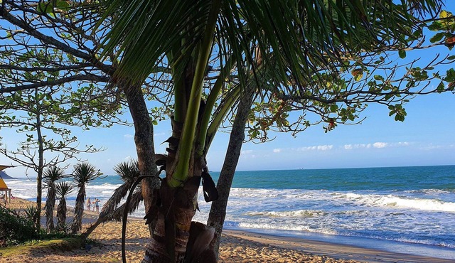 Surfside Luxury - Nautilus Home Club - Penha - SC