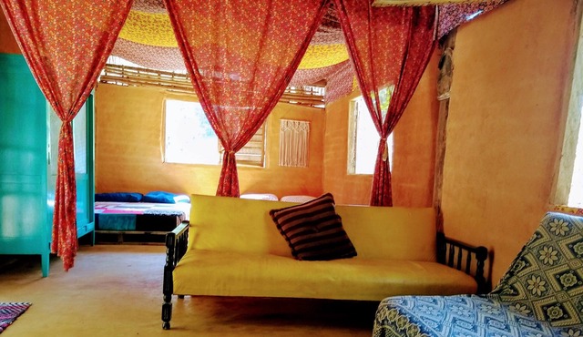 Tall dick! Charming little house in the middle of the Golden Lion Mico Reserve