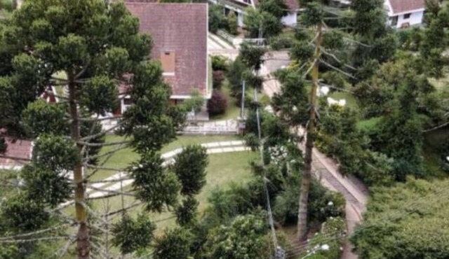 Theme Chalet
