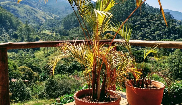Tiê's Corner - Coziness in Nature