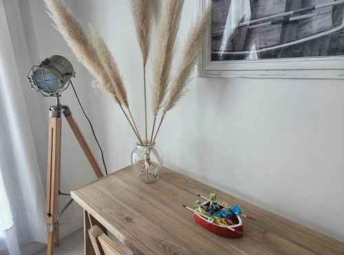 Tigre Studio Apartment