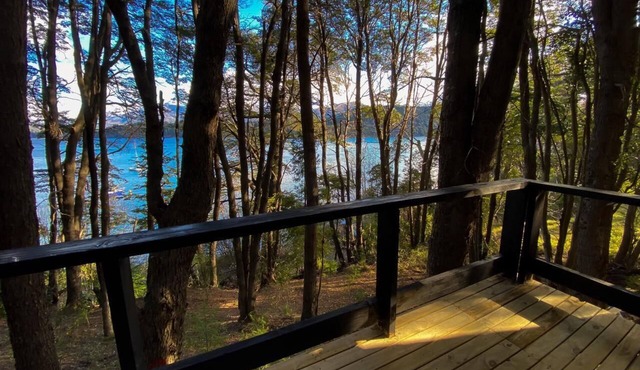 Tiny house meters away from lake nahuel huapi. Access to the beach from the house.