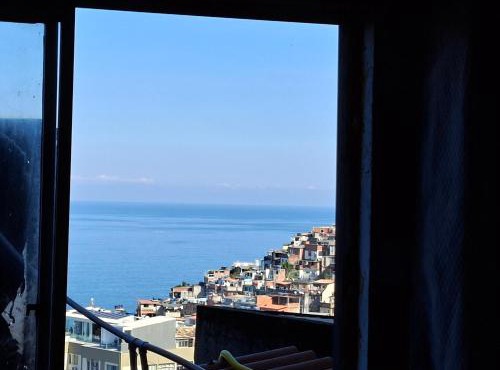 Tiny House Rio
