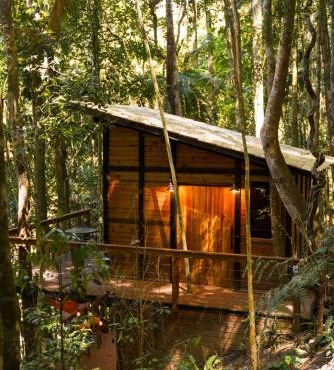 Tree House