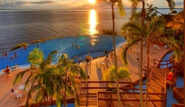 Tropical Executive Suit 1006