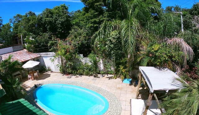 Tropical Hostel