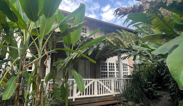 Tropical Mansion for up to 10 People (Exclusive Villa)