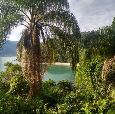 Ubatuba Surf Hostel, apenas a 60 metros da praia da Lagoinha!