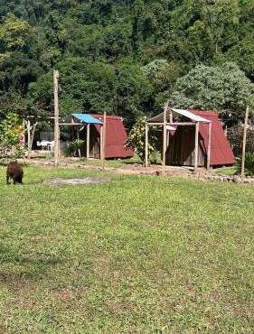 Vale do Rio Bonito Glamping