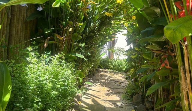 VILA BETA